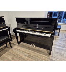 Schimmel W114 Tradition EXPO